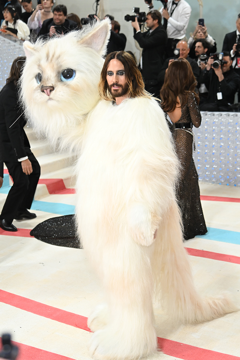 Met Gala 2023: mira quién era el impresionante gato y cómo lució