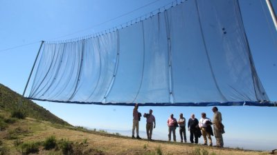 Primer mapa interactivo de agua de niebla: Así funciona la nueva herramienta para enfrentar la crisis hídrica