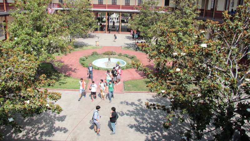 Educación pública: una elección de futuro con sentido