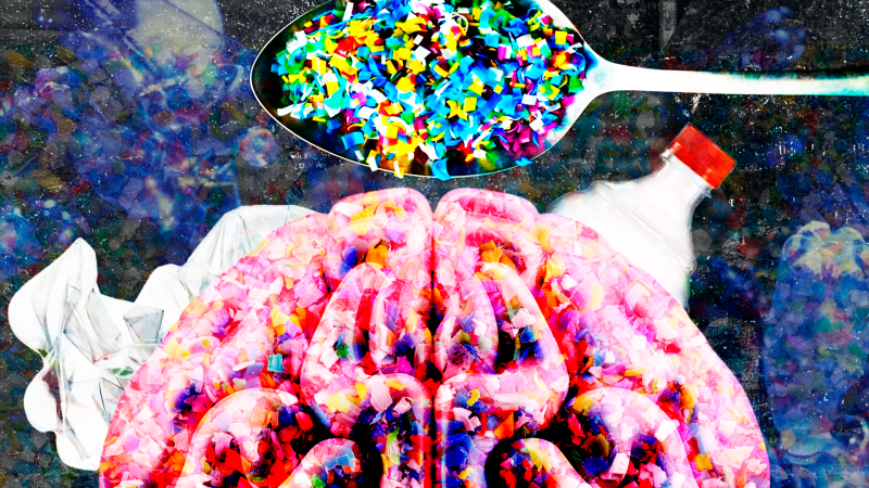 Microplásticos en el cerebro ¿Pueden afectar a la salud mental?