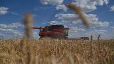 El cambio climático bajará la capacidad mundial de producir alimentos