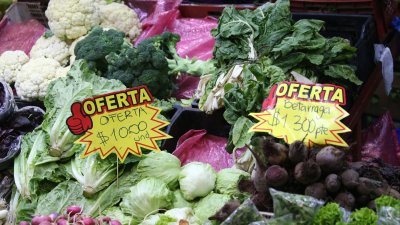 Especialistas coinciden que riego de cultivos agrícolas con aguas grises no cuenta aún con resultados promisorios