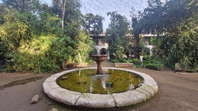 Museo San Francisco: Un refugio patrimonial y pulmón verde en el corazón de Santiago