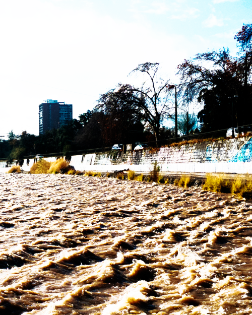 Río Sena apto para al baño: ¿Es factible copiar la idea en el Mapocho?