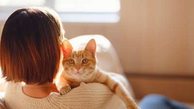 "Furbye Tech”: Científicos chilenos crearon solución para eliminar los pelos de mascotas y sus alérgenos