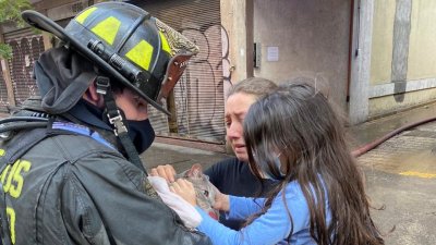 Desde incendios hasta bajarlos de los árboles: Cómo funciona el protocolo de Bomberos para el rescate de mascotas