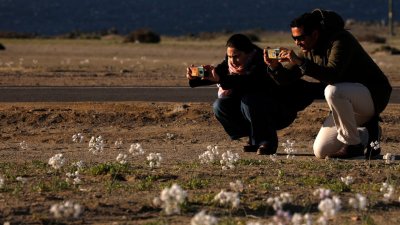 Chile se consagra como destino destacado en los Óscar del Turismo 2025