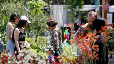 Primavera en casa: Los cuidados que necesitan tus plantas con los cambios primaverales