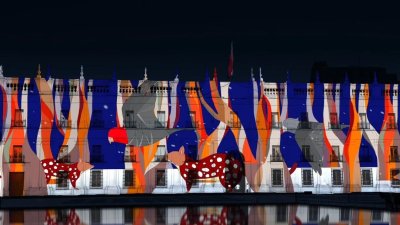 Gratuito y con ilustraciones de animales: La Moneda se ilumina para celebrar el Día de la Fauna Chilena