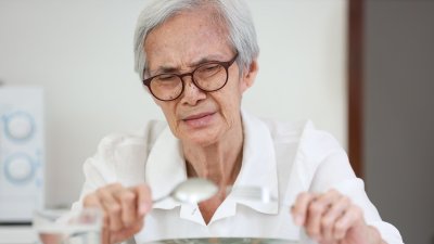 Buscan desarrollar postres con proteína, vitamina D y ácidos grasos omega para mejorar la dieta del adulto mayor