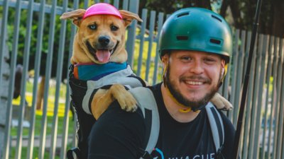 De la calle a Gerente de Felicidad: Bandida del Carmen, la perrita que guía a profesores chilenos