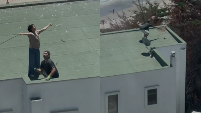 Indignante: Captan a pareja arrojando polluelos de gaviota desde terraza de edificio