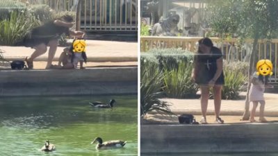 Confirman sustracción de pato desde laguna en Cerrillos y mallplaza anunció acciones legales