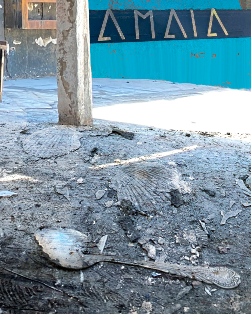 El renacer de Amaia: El restorán de comida originaria atacado con molotov y que se levanta con el apoyo de la comunidad