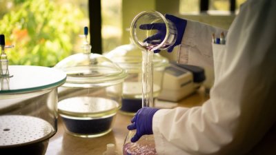 Impulsan plataforma biotecnológica para aportar a la innovación de la industria de levaduras