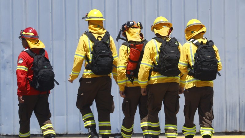 Conaf despidió a los brigadistas que fueron grabados mientras jugaban con fuego en edificio institucional