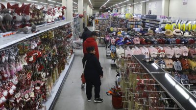 Fiscalización del SII terminó con la clausura de más de 200 “malls chinos”