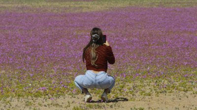 Chile es elegido Mejor Destino Internacional en los primeros Forbes Travel Awards
