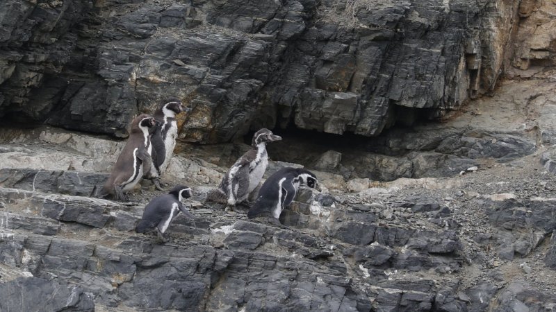 Organizaciones convocan a primera marcha ambiental del año para proteger el agua y por el retiro de decretos
