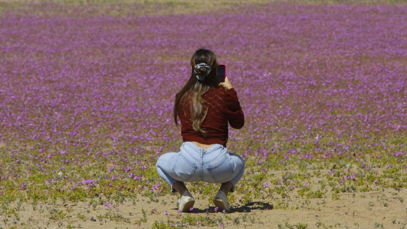 Chile es elegido Mejor Destino Internacional en los primeros Forbes Travel Awards