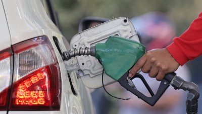 Será un plazo de cuatro semanas: Hacienda fijó plazo para el cálculo del precio de paridad del Mepco