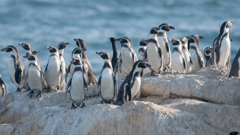 Fotografía: J. Herreros