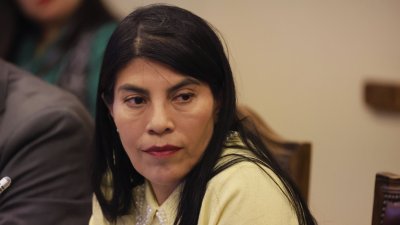 Ministra Ximena Lincolao declaró que posee un patrimonio superior a US$60 millones