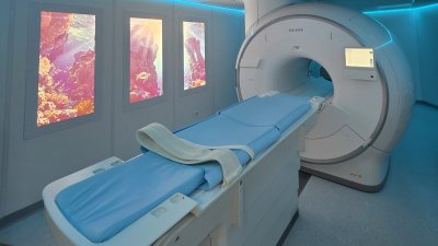 Un hito histórico para la medicina animal: Inauguran en Chile el segundo resonador de su tipo en el mundo