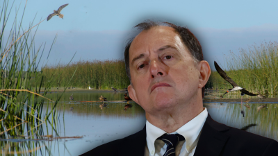 "Es condenar a las familias a vivir inundadas": Senador De Urresti respondió a Poduje por ley de humedales