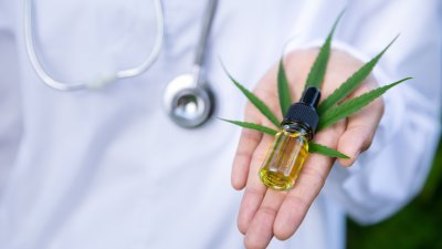 Estados Unidos le abre la puerta a la marihuana de uso medicinal: Experto explica la medida y da luces de la situación en Chile