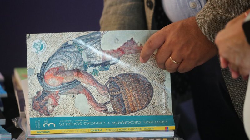 Estudio revela fuerte brecha de género en textos escolares: más del 70% de autores en Historia son hombres