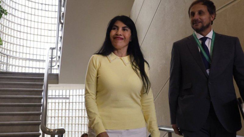 Rafael Araos renunció a la Subsecretaría de Ciencia por “diferencias de gestión y visión” con ministra Lincolao