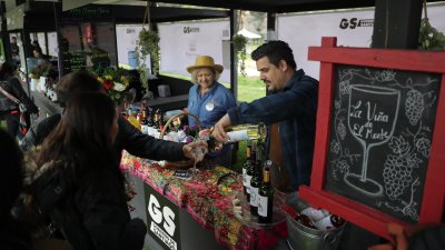 Vendimia del Valle del Maipo reunirá a más de 41 viñas en el Parque Estadio Nacional