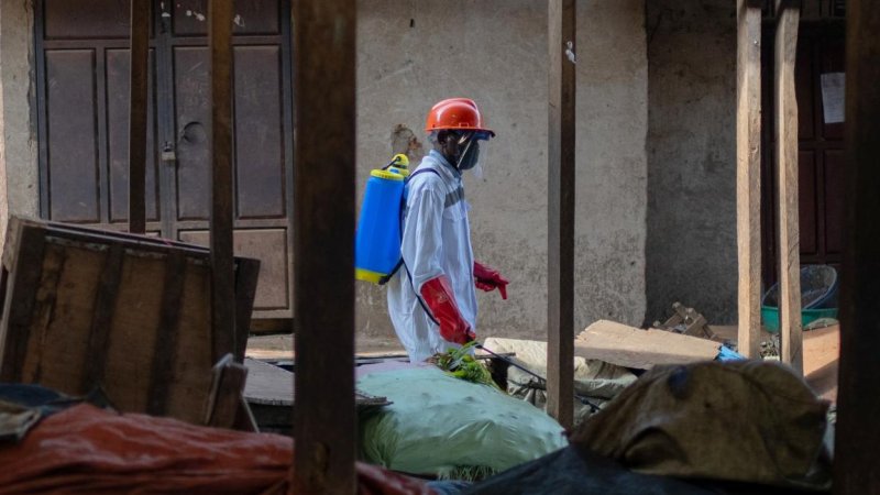 La OMS elevó a 220 las "muertes sospechosas" por el brote de ébola en la República Democrática del Congo