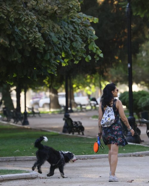 Entre reposición y monitoreo: Así se trabaja en la conservación del arbolado del Parque Forestal