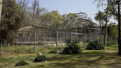 Proyecto busca revivir el invernadero del Parque Quinta Normal tras 104 años cerrado