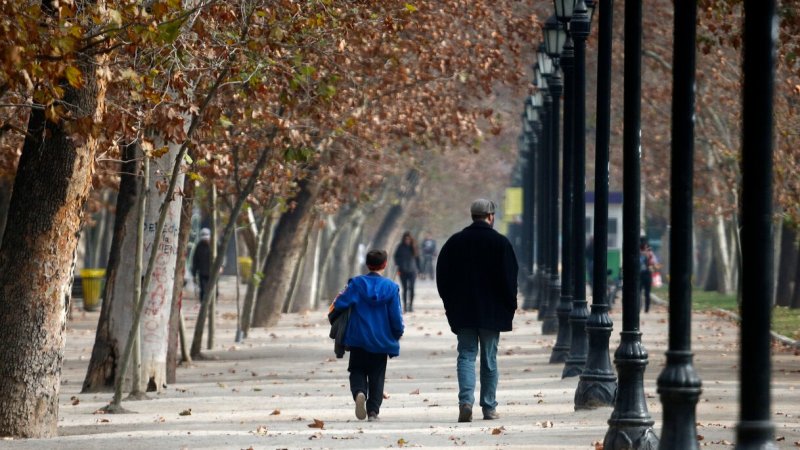 Radiografía de la quiebra de padres en Chile: hombres trabajadores, endeudados y sin bienes