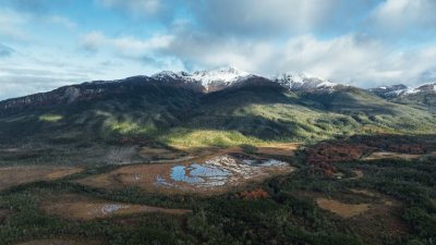 Revelan que un tipo de humedal del extremo sur de Chile absorbe hasta 3 veces más carbono que los bosques nativos