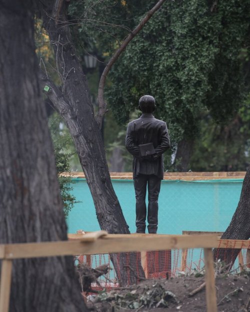 Quillayes, palmas chilenas y robles: Parque Portales aumentará en 40% su cantidad de árboles