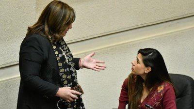 Tensión en el PS: Senadoras Vodanovic y Cicardini protagonizan intensa discusión en la Sala del Senado