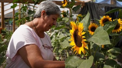 Apoya a campesinas y pequeñas productoras: Gobierno pone fin al Programa Mujeres Rurales después de 34 años