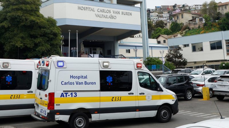 Minsal declara alerta sanitaria por hanta desde Atacama a Magallanes