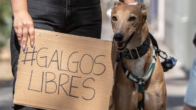 Agencia Uno