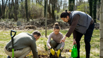Del laboratorio al bosque: investigadores chilenos buscan desarrollar árboles que se adapten al cambio climático