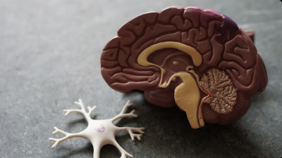 Desde charlas para conocer cómo funciona el cerebro de tu perro hasta robots y realidad virtual: Las experiencias imperdibles de NeuroFest 2026