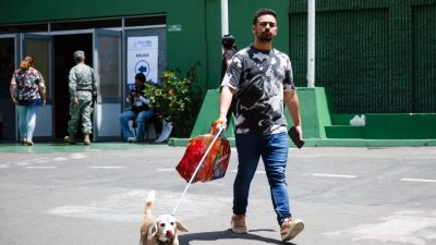 Fondas, viajes y casas llenas: Los cinco errores que cometemos en Fiestas Patrias y que pueden estresar o enfermar a nuestras mascotas
