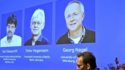 El Nobel de Medicina premia a los fundadores de una nueva era en la neurociencia
