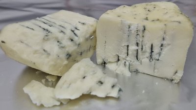 Queso azul más seguro: Investigadores de la Usach buscan eliminar sus toxinas sin alterar el sabor