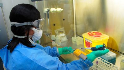 Estudio científico descubrió “punto débil” del virus Hanta y abre opción de posibles tratamientos