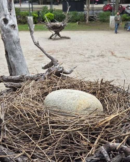 Nidos: La exposición que rescata el valor de la naturaleza en medio del paisaje urbano